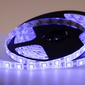 LED лента 12В, 10мм, IP65, SMD 5050, 60 LED/m, 12V, СИНЯЯ (катушка 5 метров)
