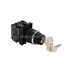 B101AA30, Кнопка с ключом 2-0-1, ключ вынимается в положениях 0