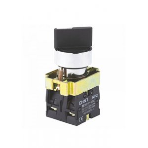 573981, Переключатель NP2-BD25, 2 положения фиксацией, 1НО+1НЗ IP40