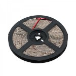 LED лента 12 В, 12 мм, IP65, SMD 5730, 60 LED/m, 12 V, Белый (6000 K) (катушка 5 метров)