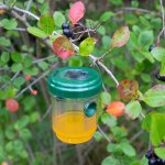 Ловушка для ОС на солнечной батарее  REXANT