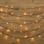 ТВИНКЛ 20 м, темно-зеленый ПВХ, 160 LED Теплый белый, не соединяется