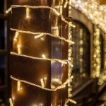 НИТЬ 10м, белый ПВХ, 100 LED ТЕПЛЫЙ БЕЛЫЙ, соединяется, 230В (нужен шнур питания 303-500/303-500-1)