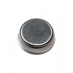 DS1990C-F5+, i-Button,Ind,F5