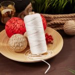 Фал плетеный "REXANT" 3мм 100м (белый)