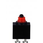 HD110V50A21, микропереключатель плунжер герметичный SPNC 12В 0.1А под клипс зажим  -40 85 гр С
