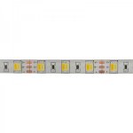 LED лента White Mix, 12 В, 12 мм, IP65, SMD 5050, 60 LED/m, Белый (6000К) +Теплый Белый (3000К) (катушка 5 метров)