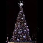 ДЮРАПЛЕЙ  20м (4 модуля x 5м), черный КАУЧУК, 200 (50x4) LED Белые, соединяется