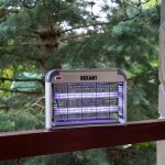 Антимоскитная лампа 2х10Вт, 220В (R80)  REXANT